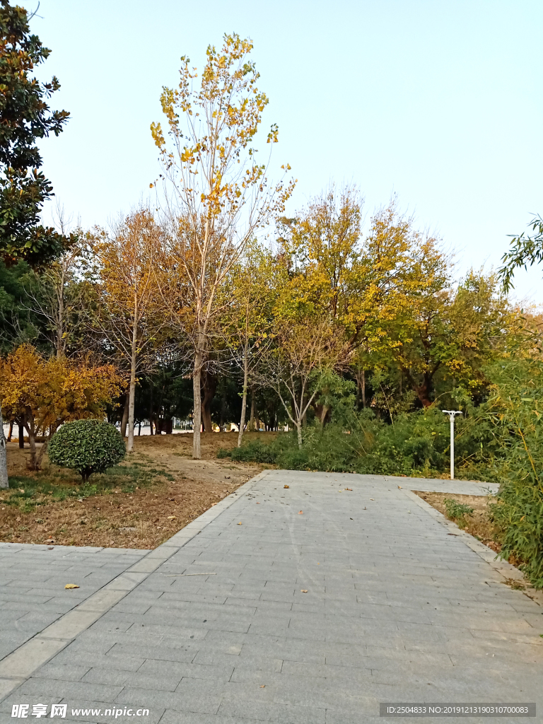 自然风景