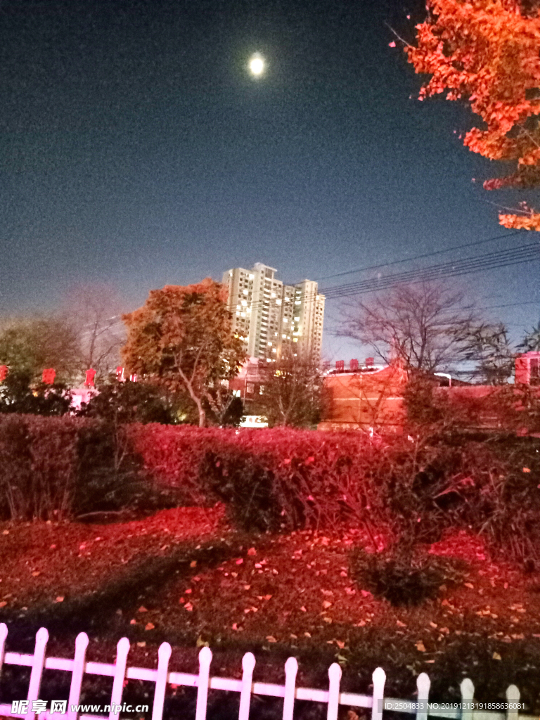自然风景