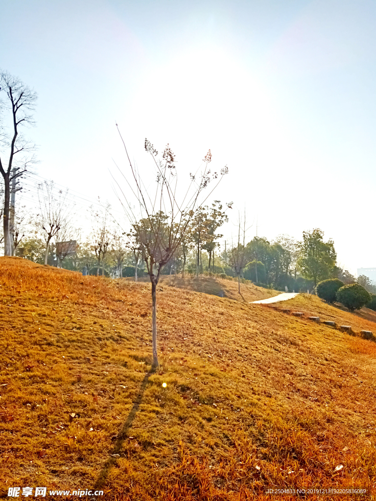 自然风景