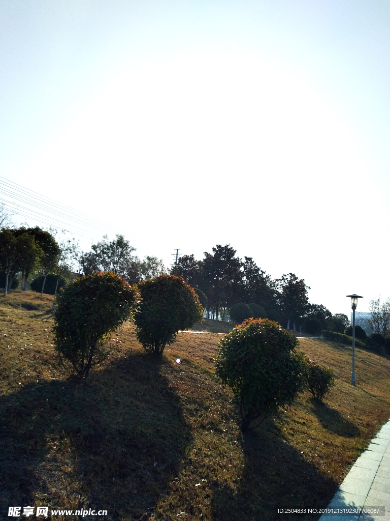 自然风景