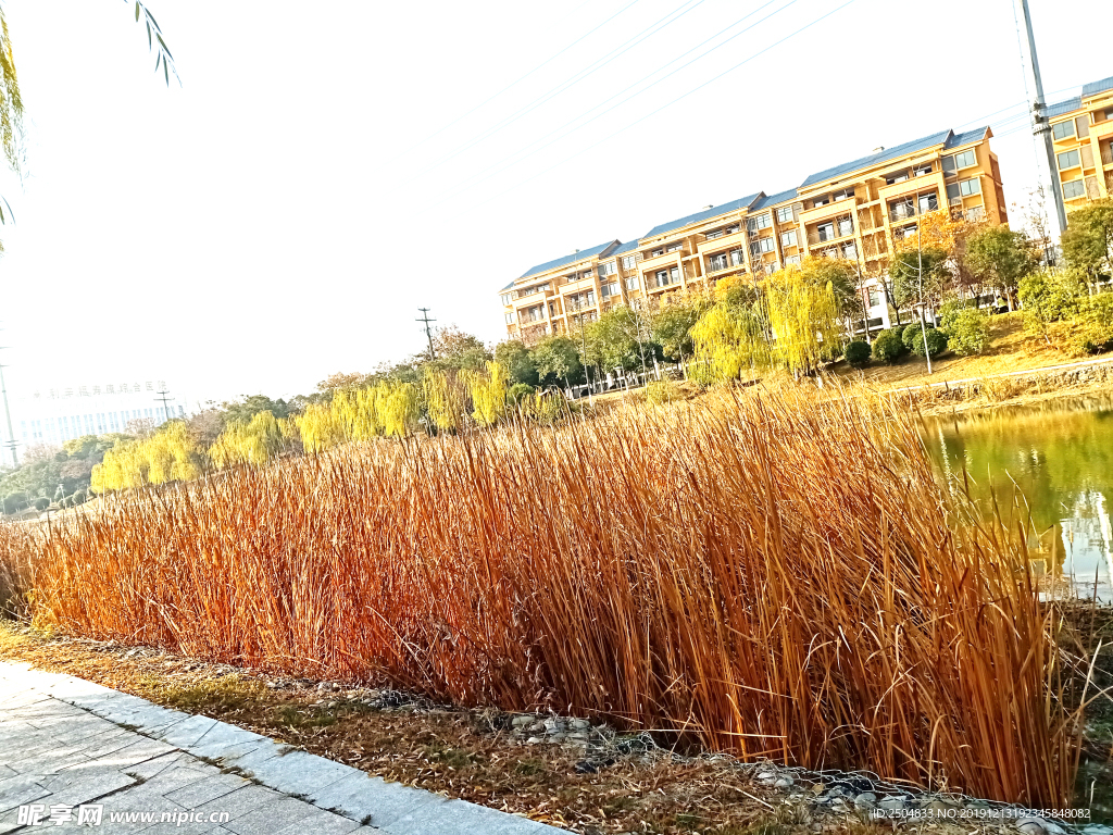 自然风景