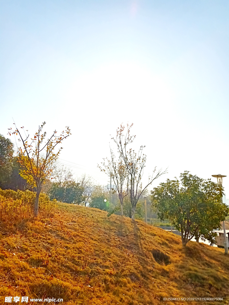 自然风景