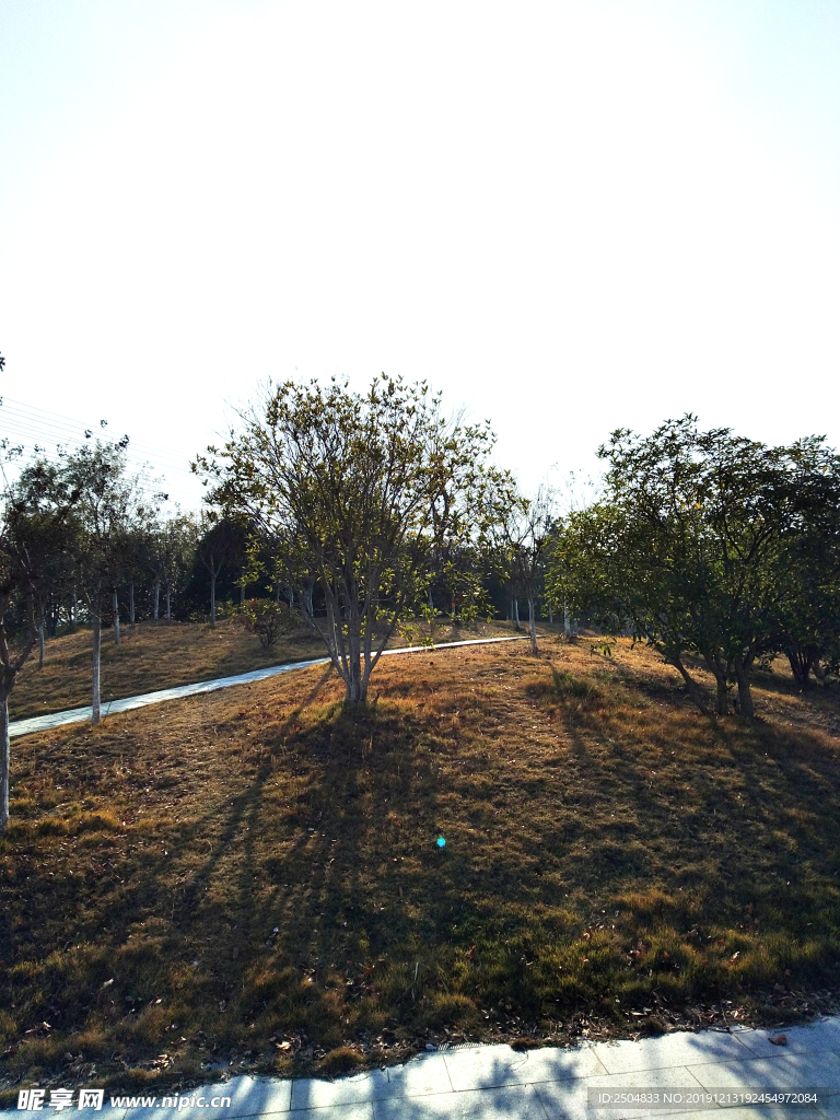 自然风景