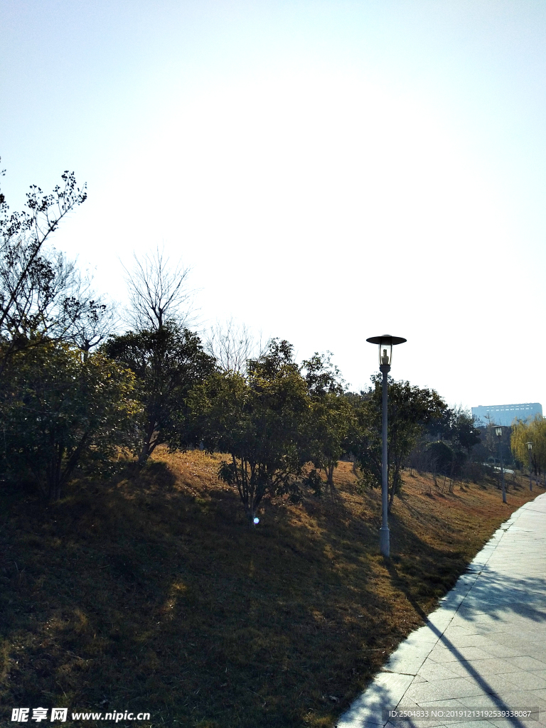 自然风景