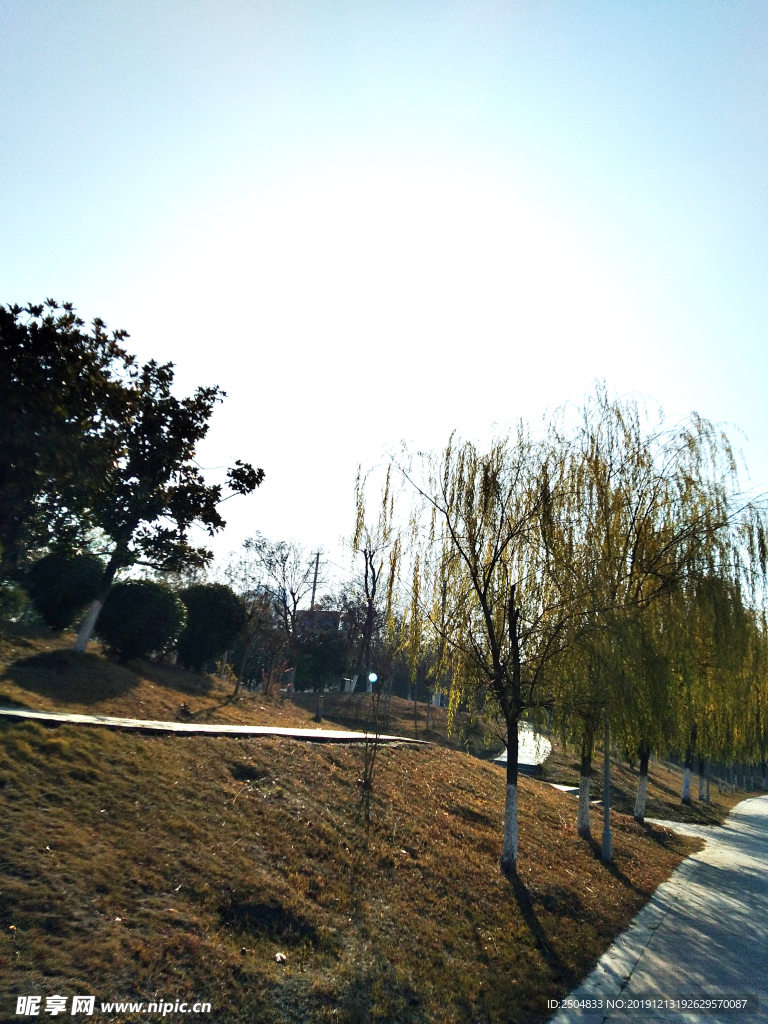 自然风景