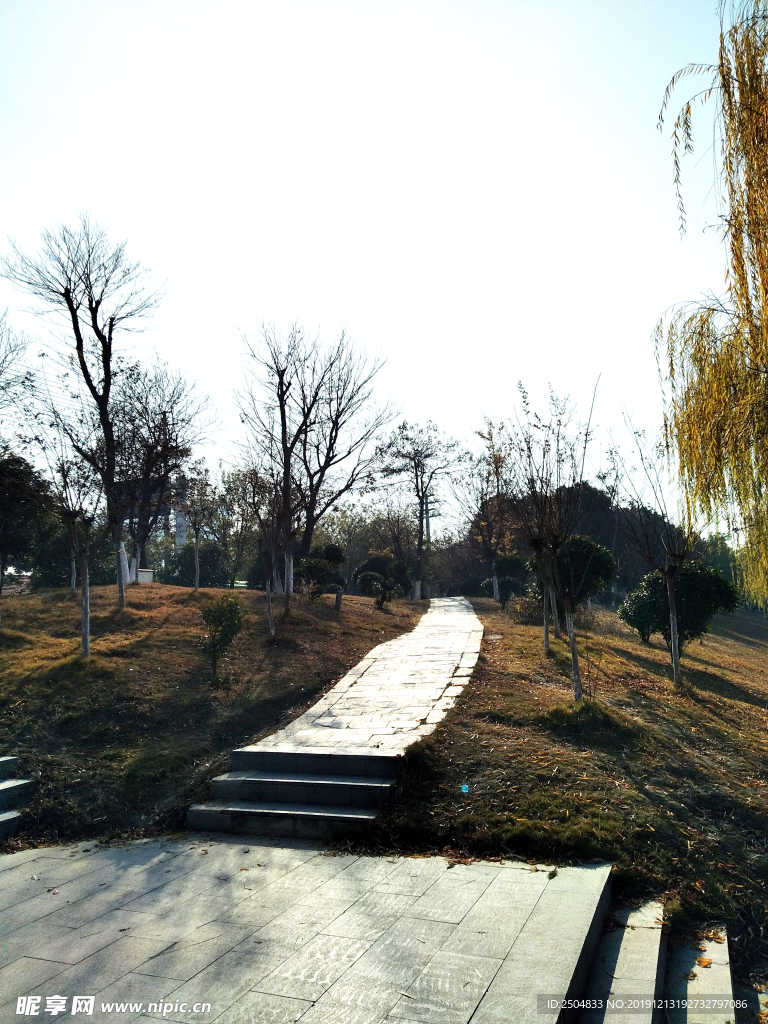 自然风景