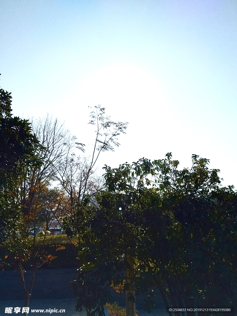 自然风景