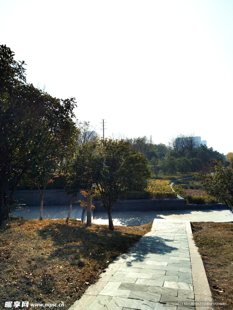 自然风景