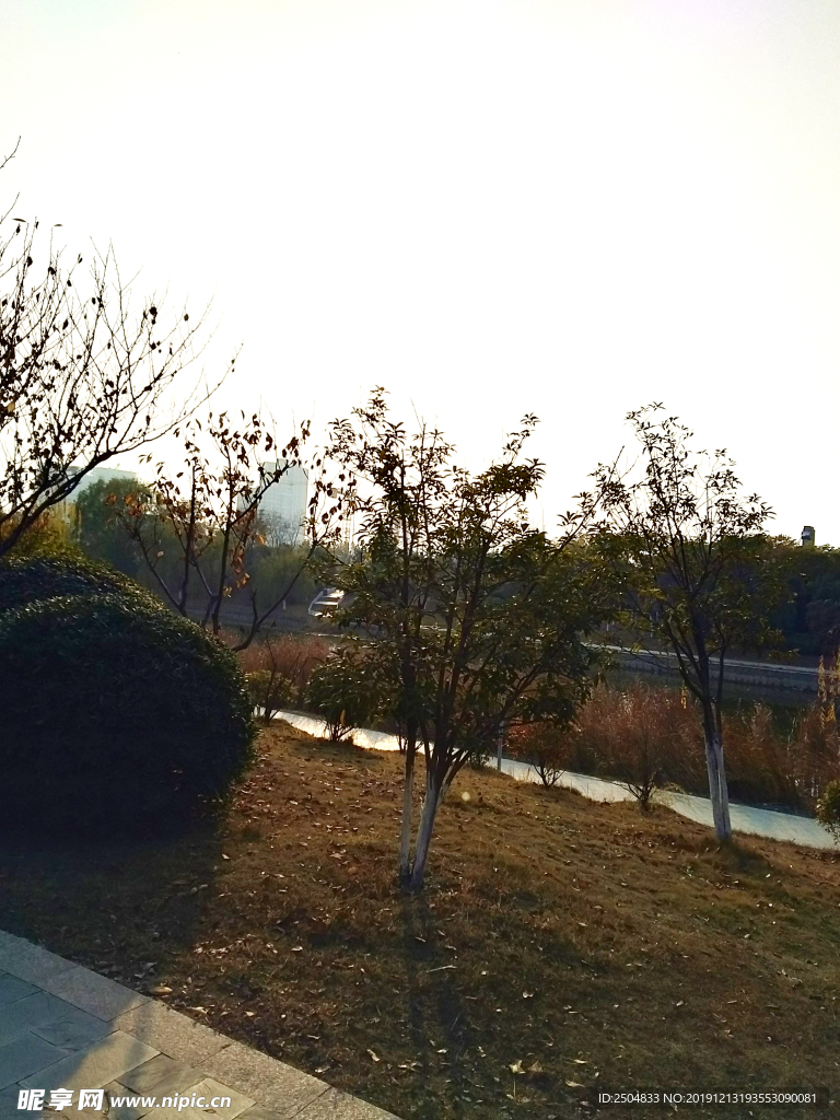 自然风景