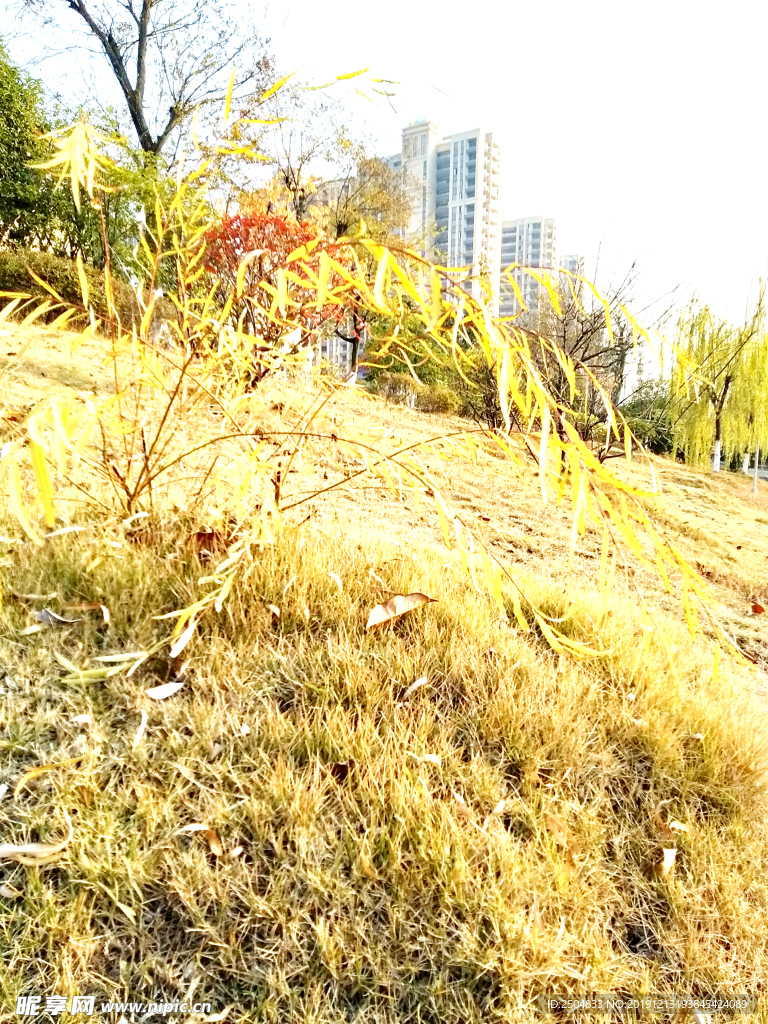 自然风景