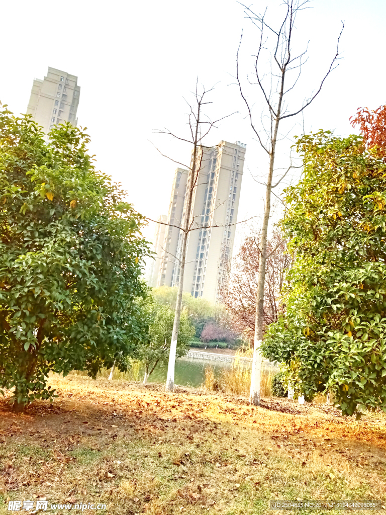 自然风景