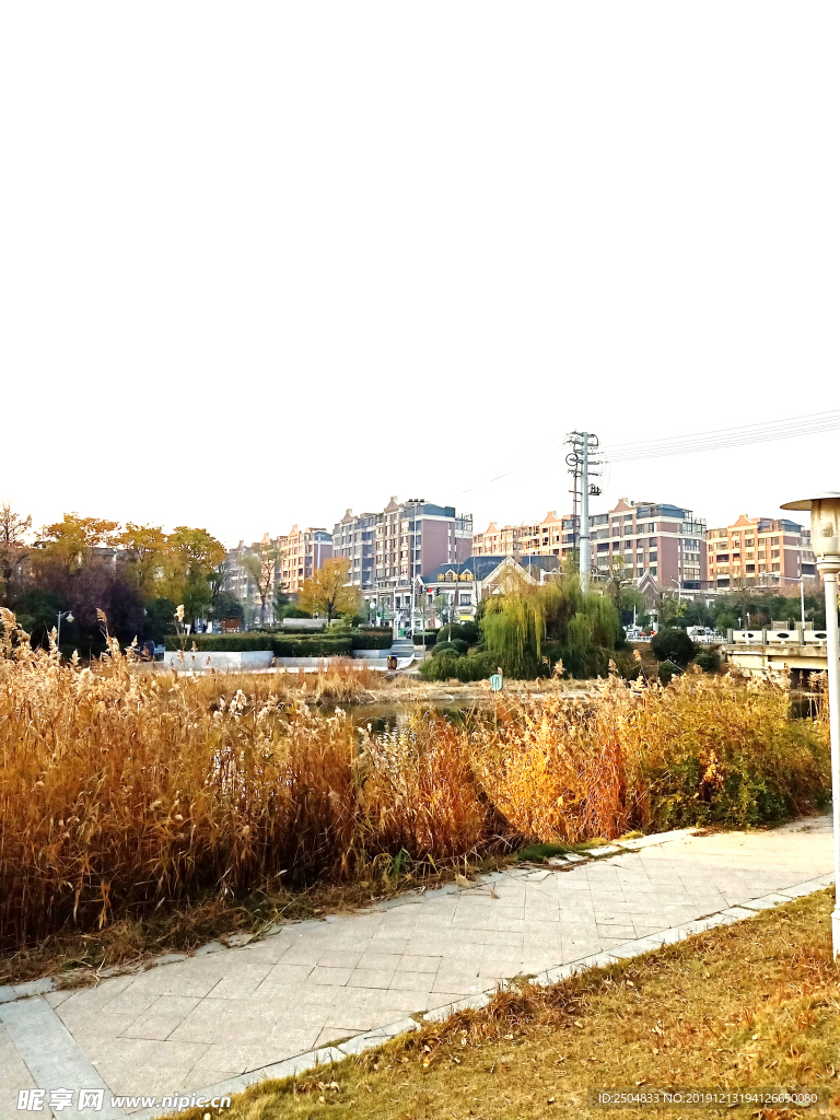 自然风景