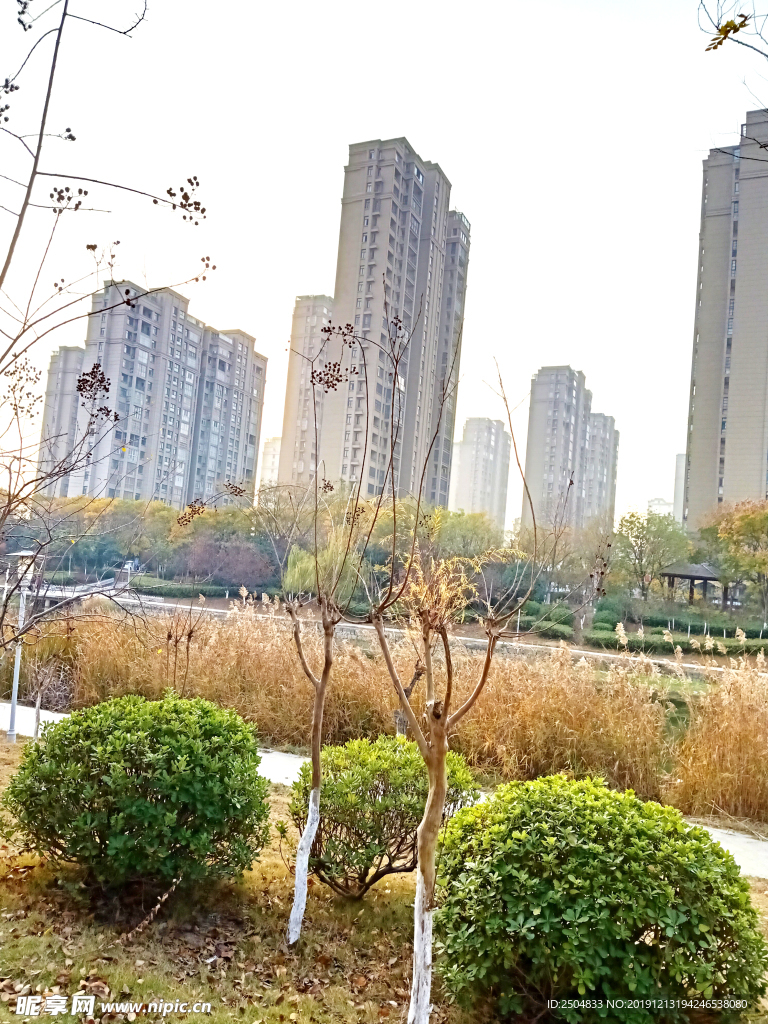 自然风景