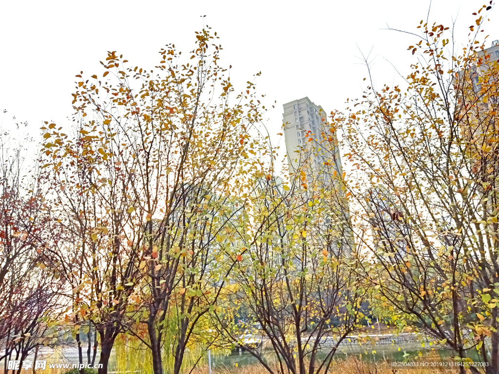 自然风景