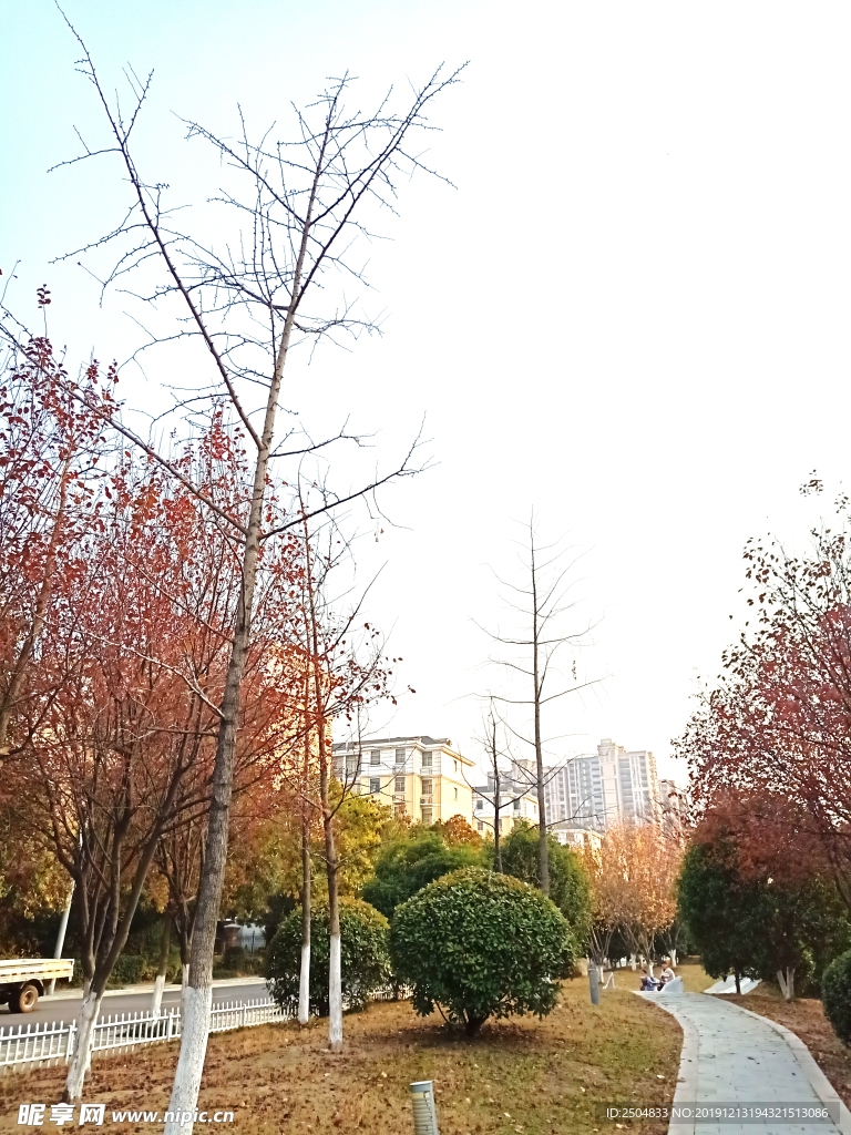 自然风景