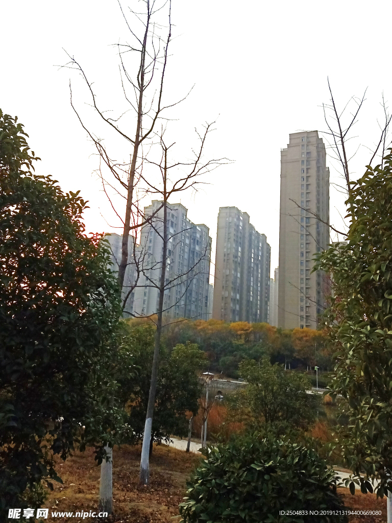 自然风景