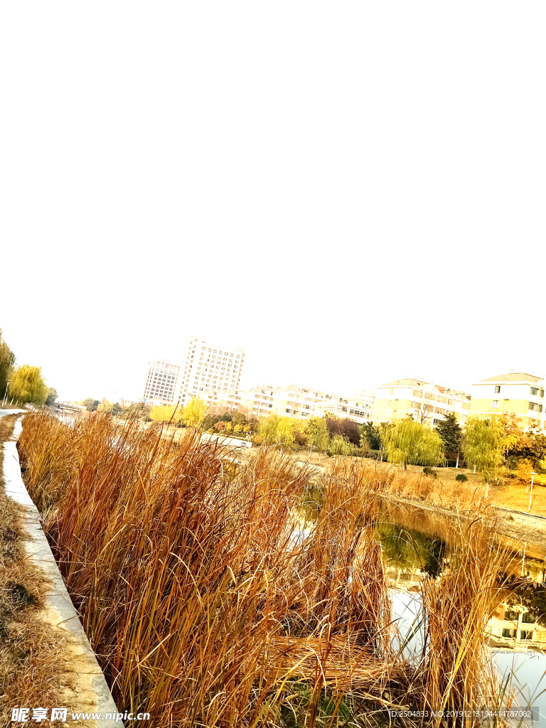 自然风景