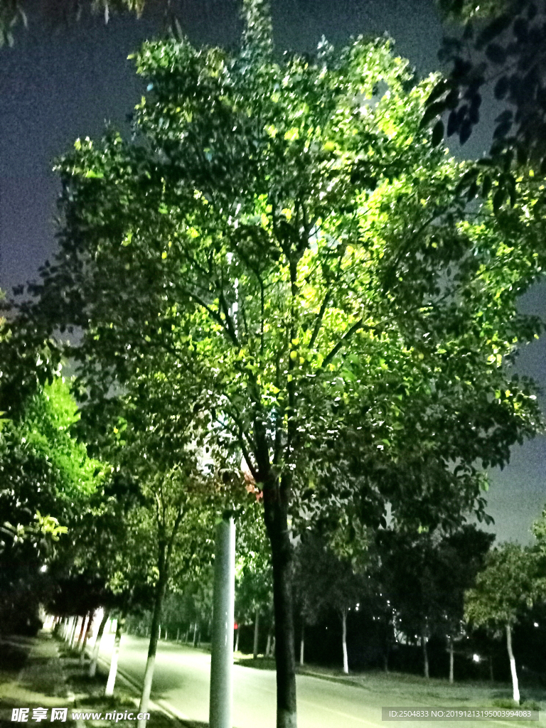 自然风景