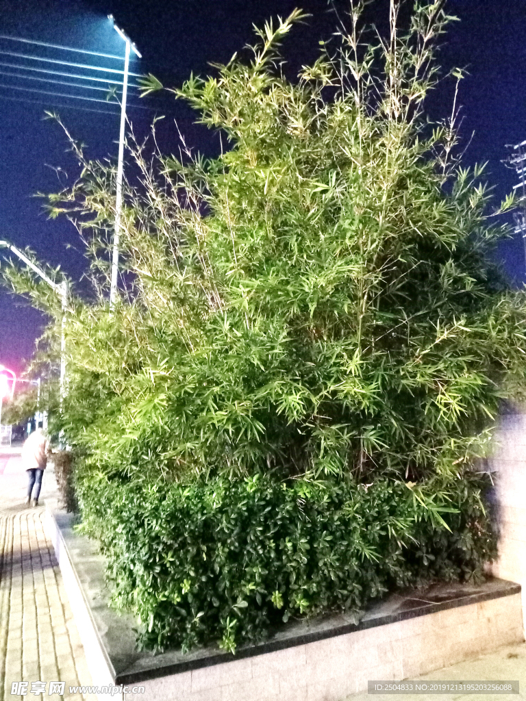 自然风景