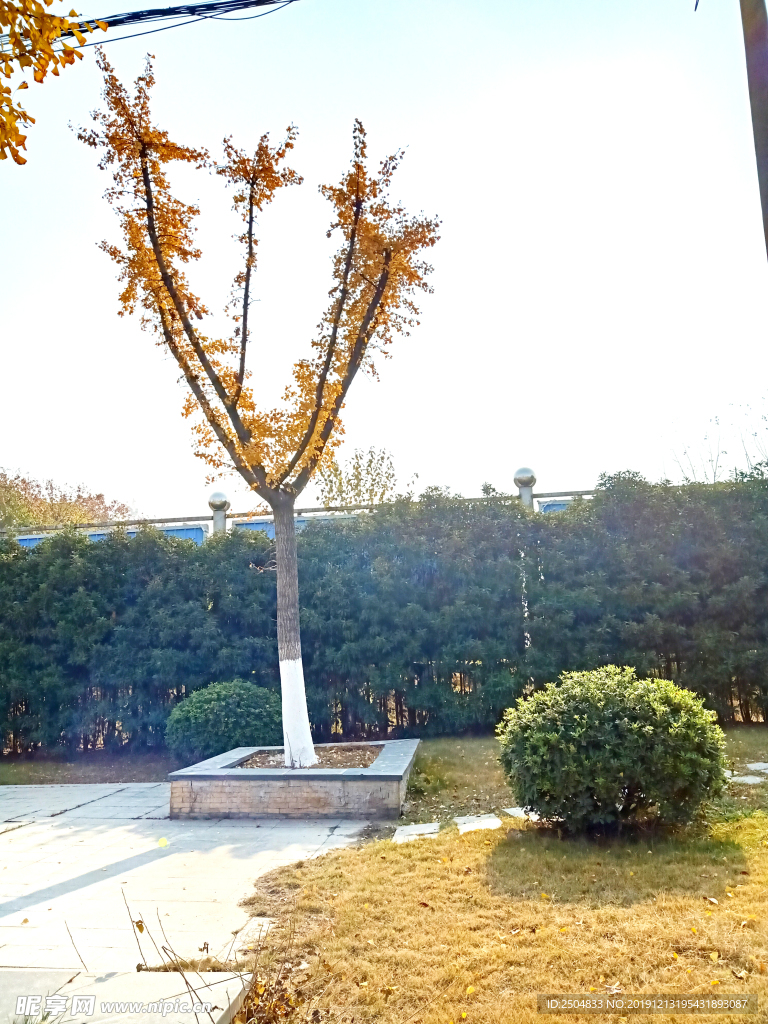 自然风景