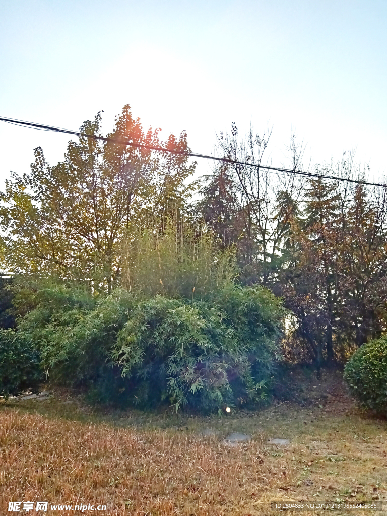 自然风景