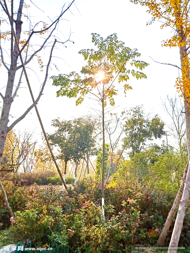自然风景
