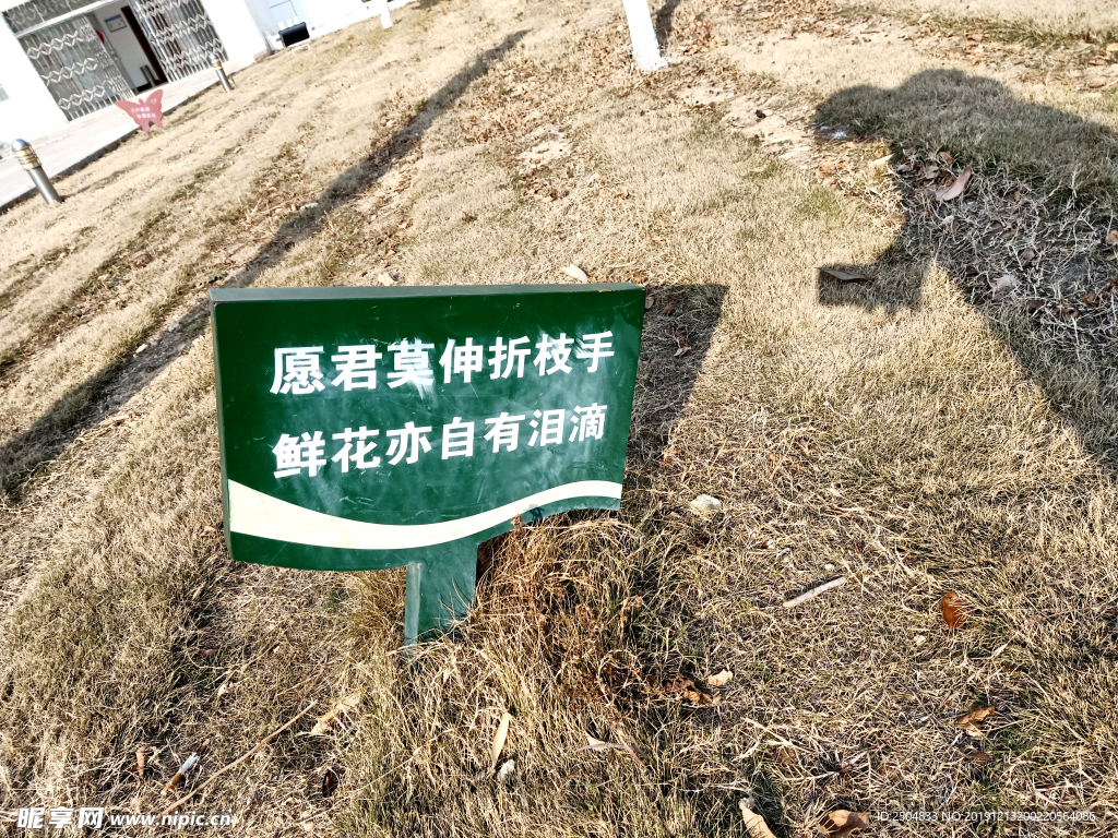 自然风景