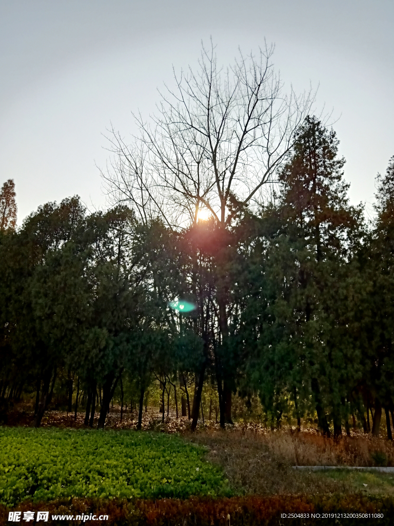 自然风景