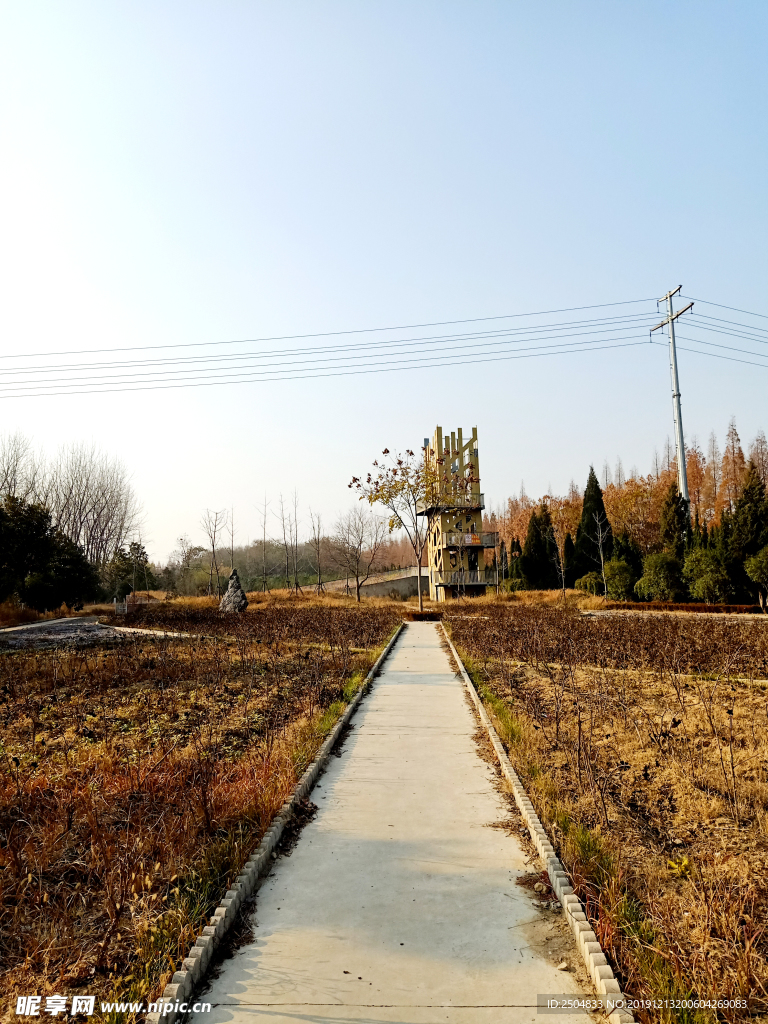 自然风景