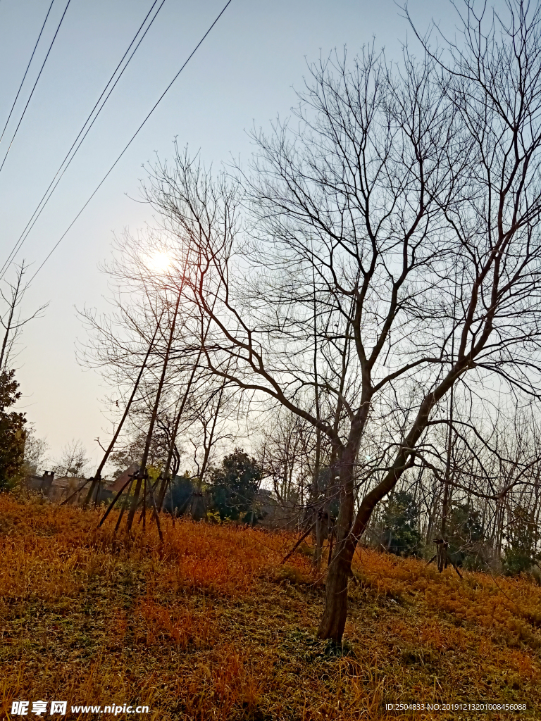自然风景