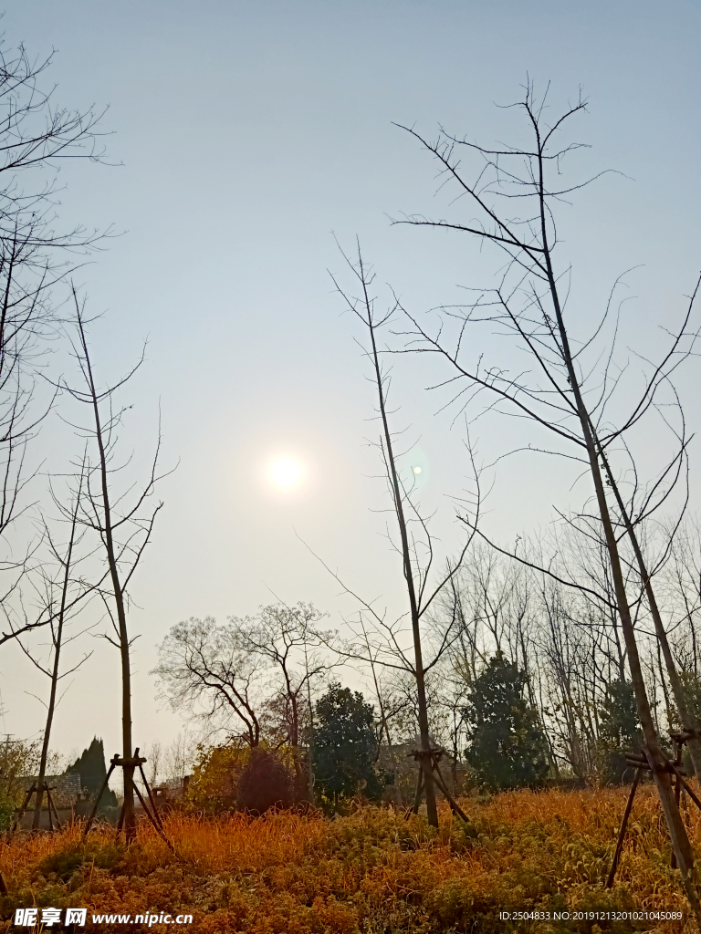 自然风景