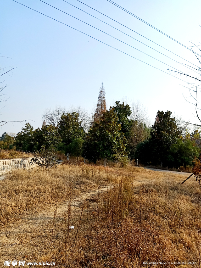 自然风景