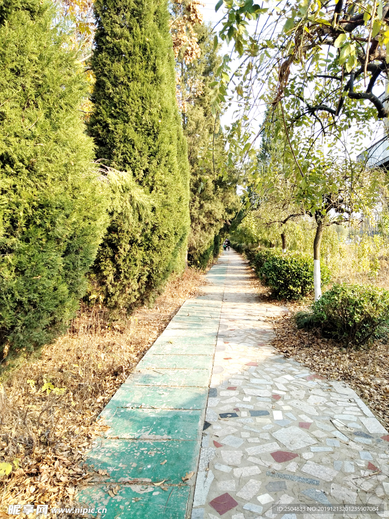 自然风景