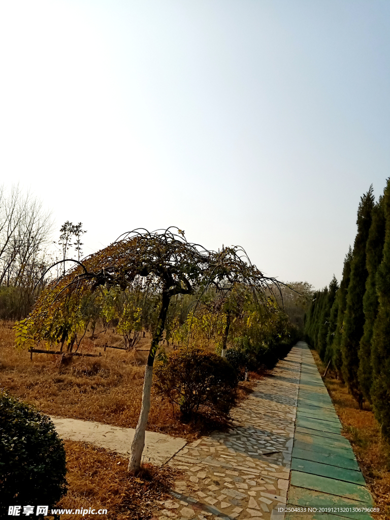 自然风景