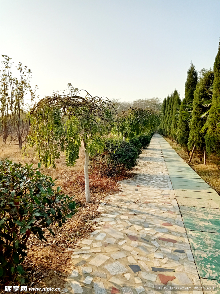 自然风景