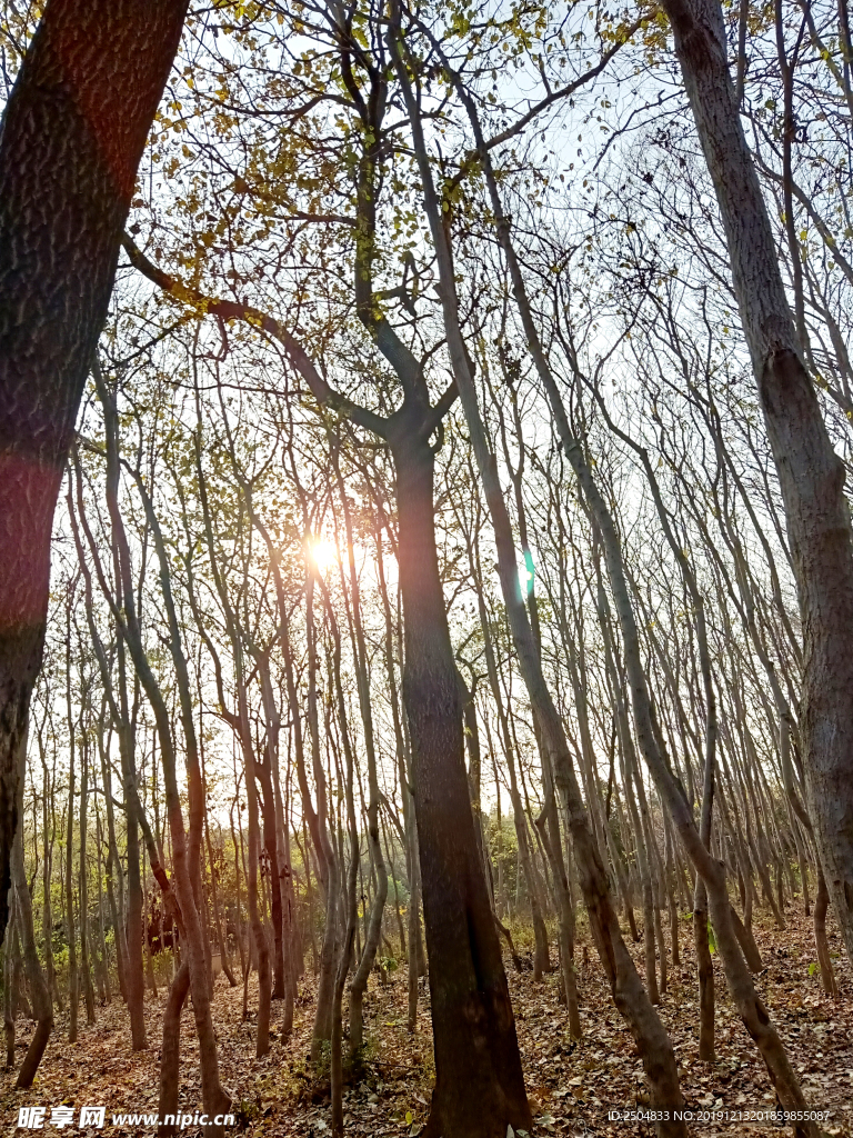 自然风景