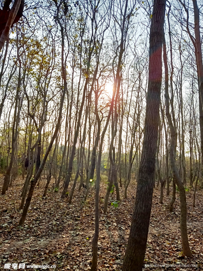 自然风景