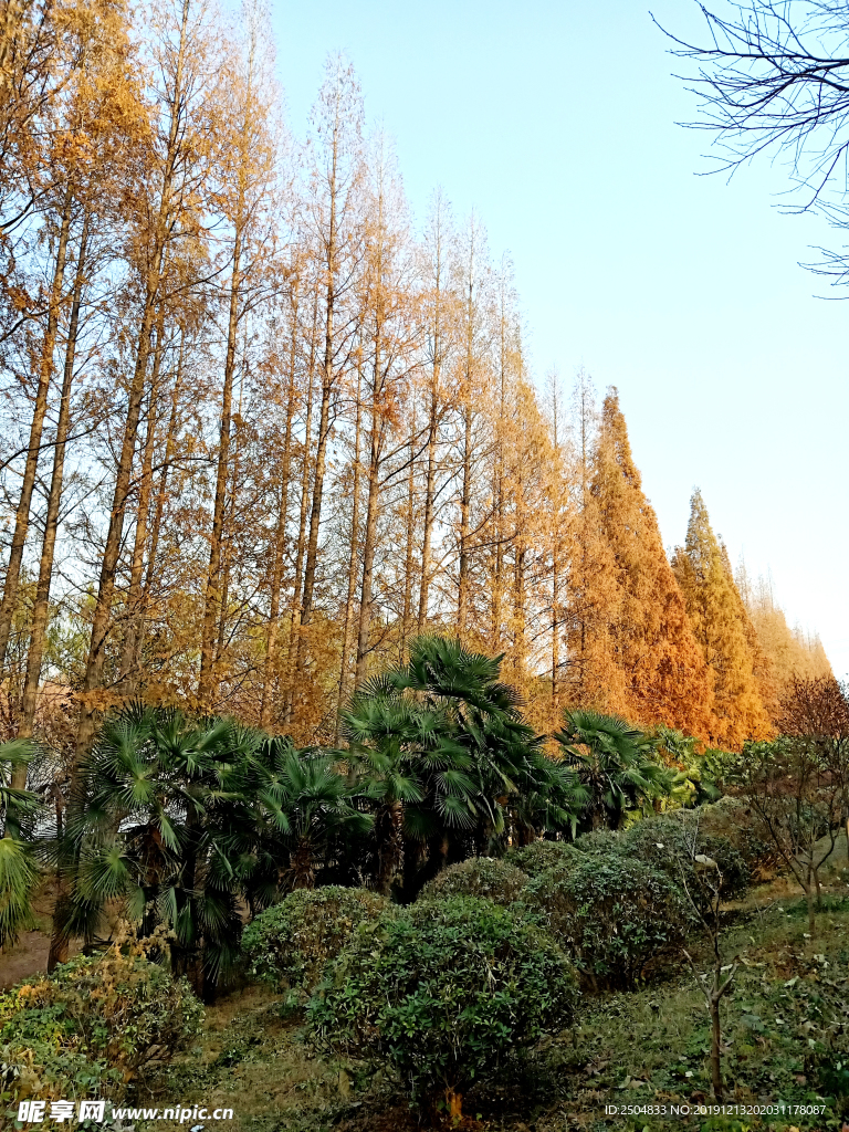 自然风景