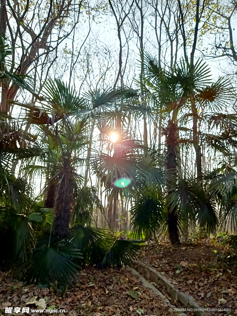 自然风景