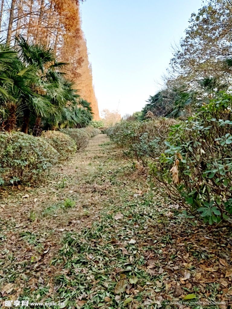 自然风景