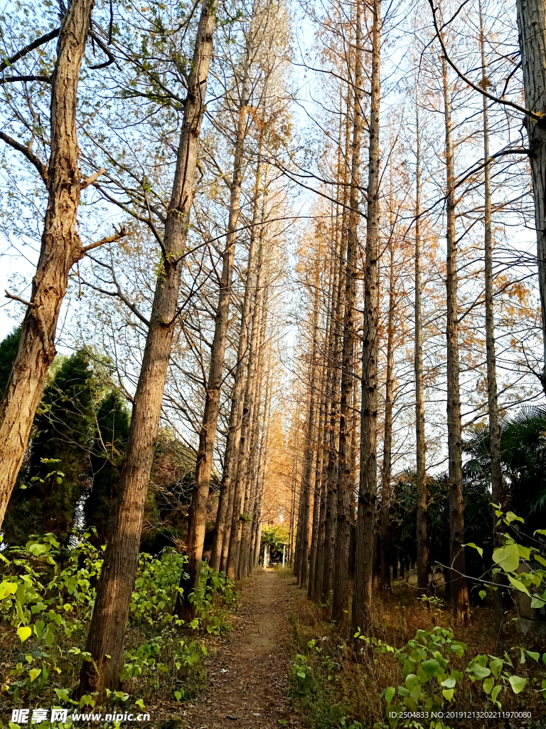 自然风景
