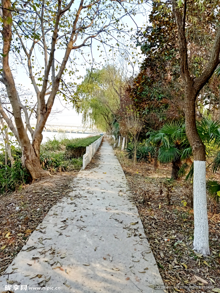 自然风景
