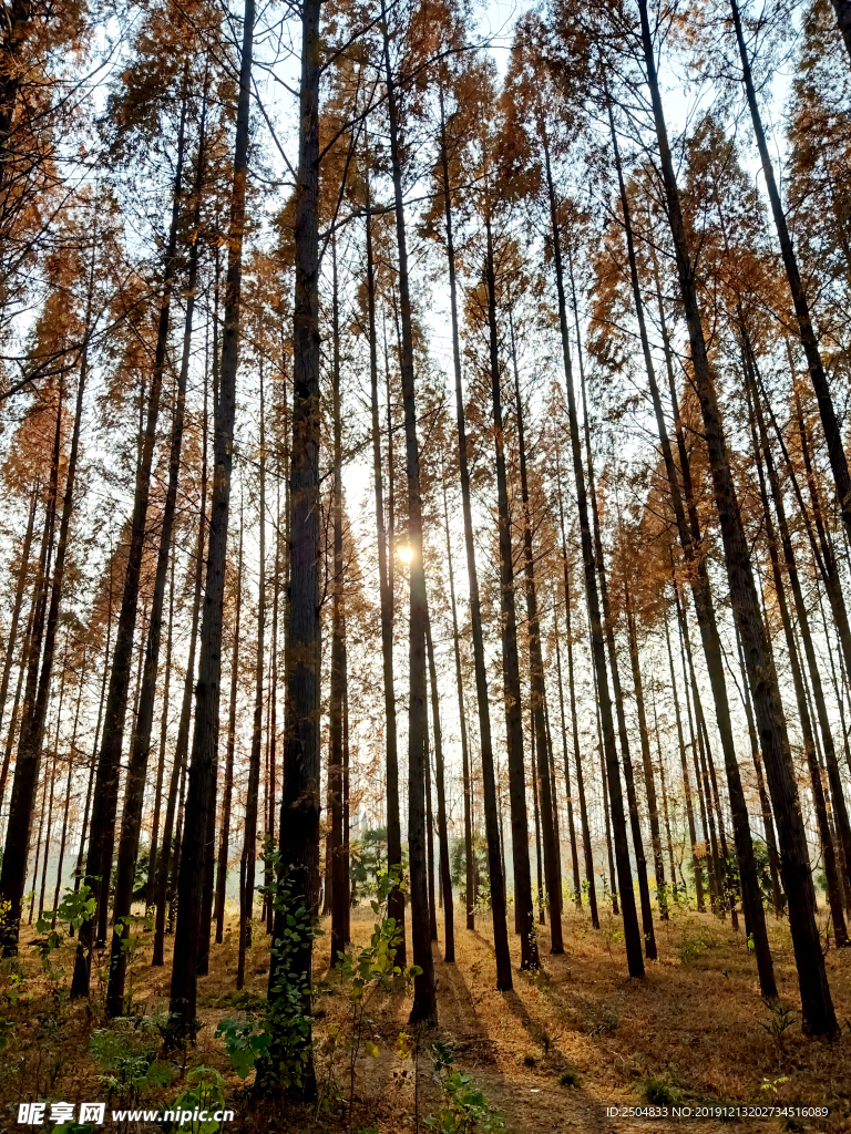 自然风景