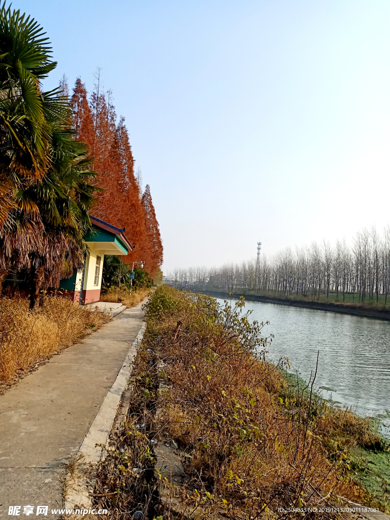 自然风景
