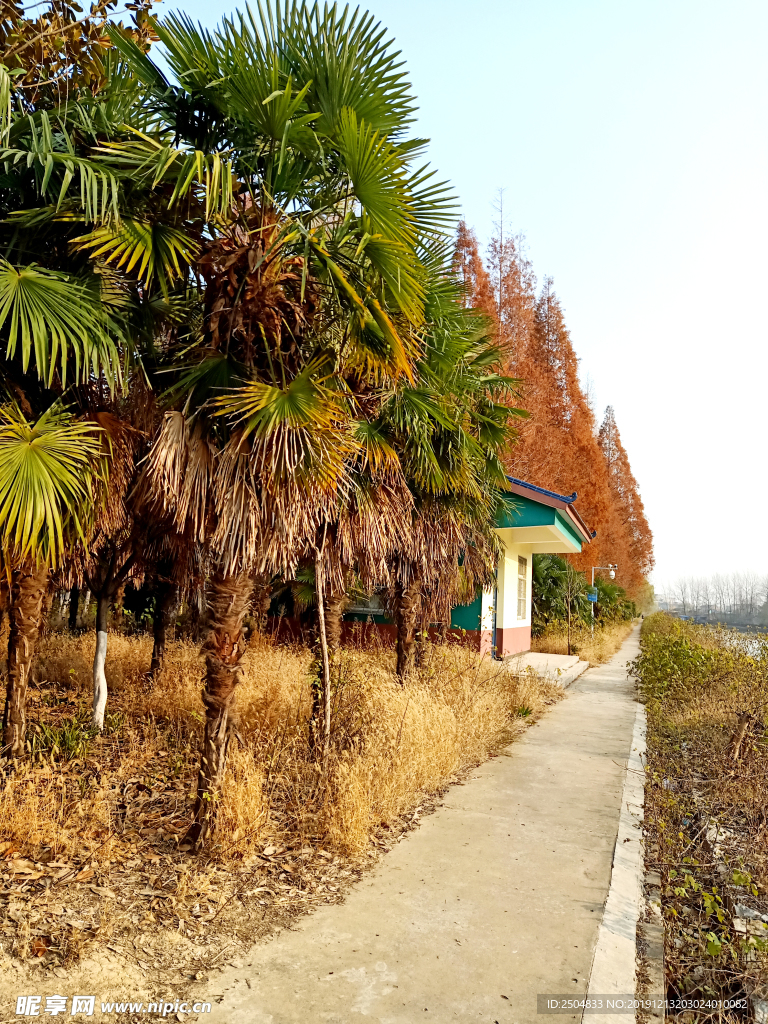 自然风景
