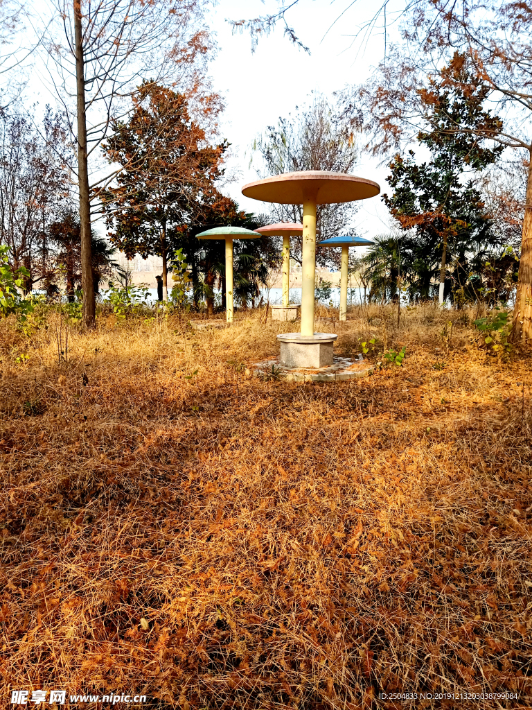 自然风景