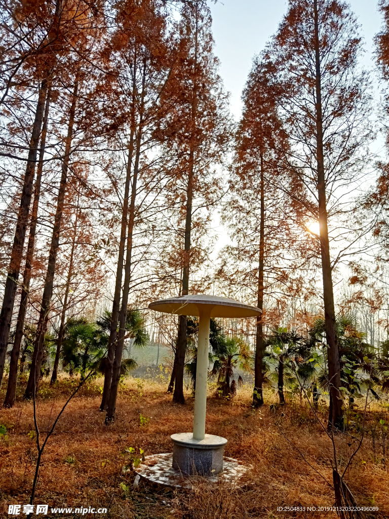 自然风景