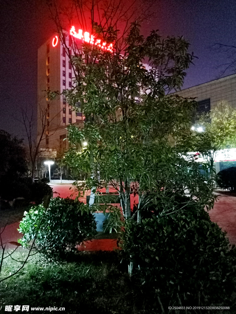 自然风景