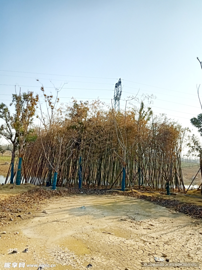 自然风景