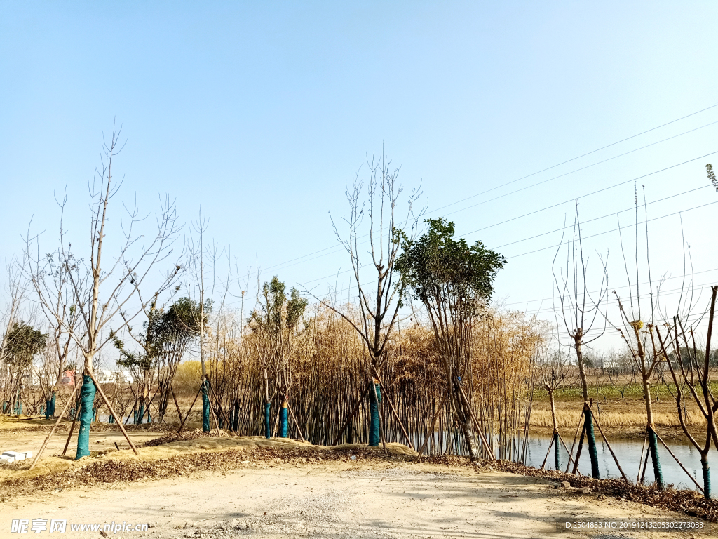 自然风景
